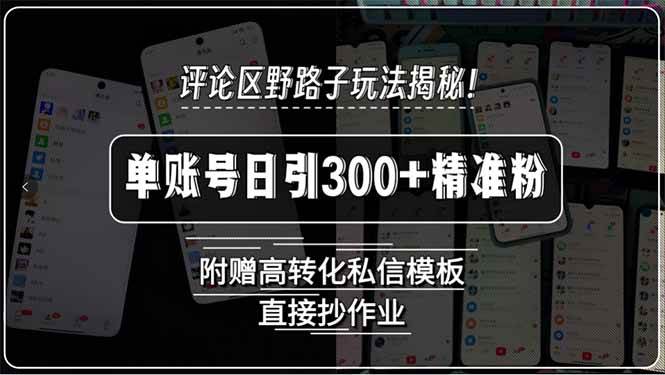 （15466期）评论区野路子玩法揭秘！单账号日引300+精准粉，附赠高转化私信模板，直…网赚项目-副业赚钱-互联网创业-资源整合AI网赚