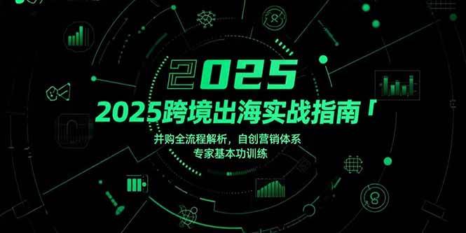 （15503期）2025跨境出海实战指南，并购全流程解析，自创营销体系，专家基本功训练网赚项目-副业赚钱-互联网创业-资源整合AI网赚