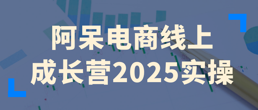 阿呆电商线上成长营2025实操-趣奇资源网-第5张图片