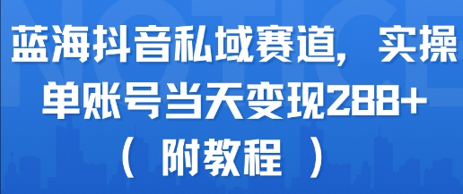 蓝海抖音私域赛道，实操单账号当天变现288+(附教程)网赚项目-副业赚钱-互联网创业-资源整合AI网赚