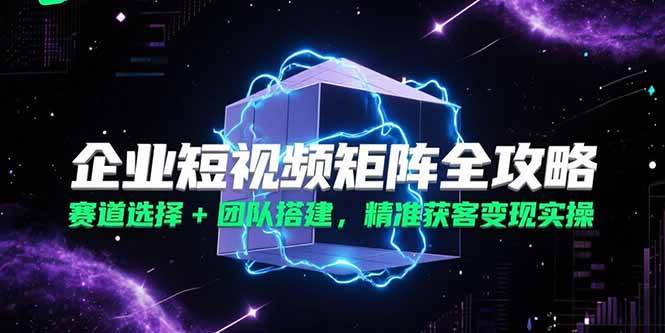 （15242期）企业短视频矩阵全攻略，赛道选择+团队搭建，精准获客变现实操网赚项目-副业赚钱-互联网创业-资源整合AI网赚