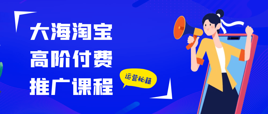 大海淘宝高阶付费推广课程-趣奇资源网-第5张图片
